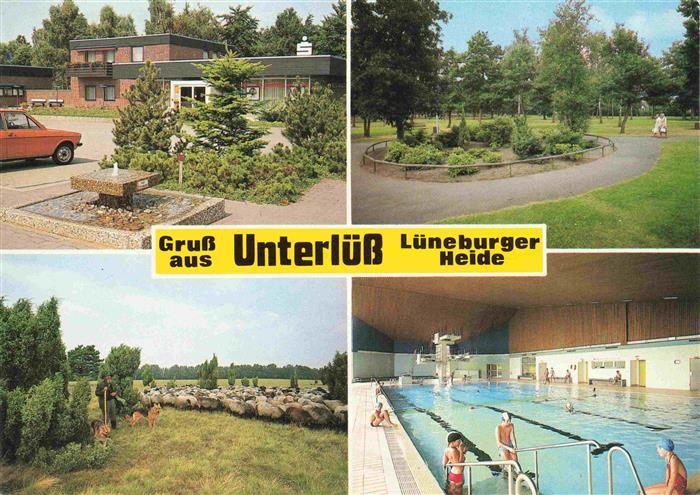 Unterluess Lueneburger Heide Park Schafherde Hallenbad