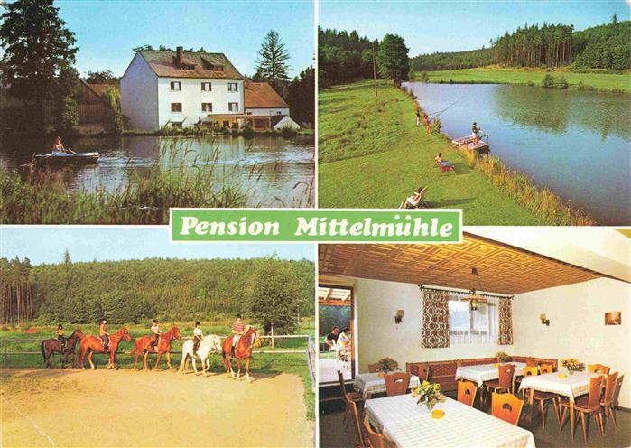 Erbendorf Pension Mittelmuehle Gaststube Reiter Angler