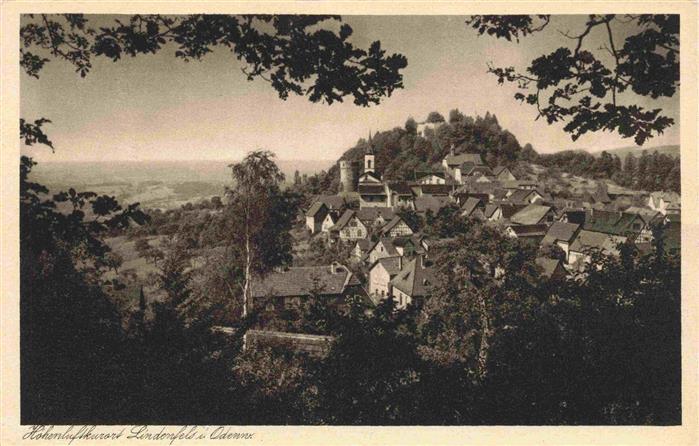 Lindenfels Odenwald Panorama