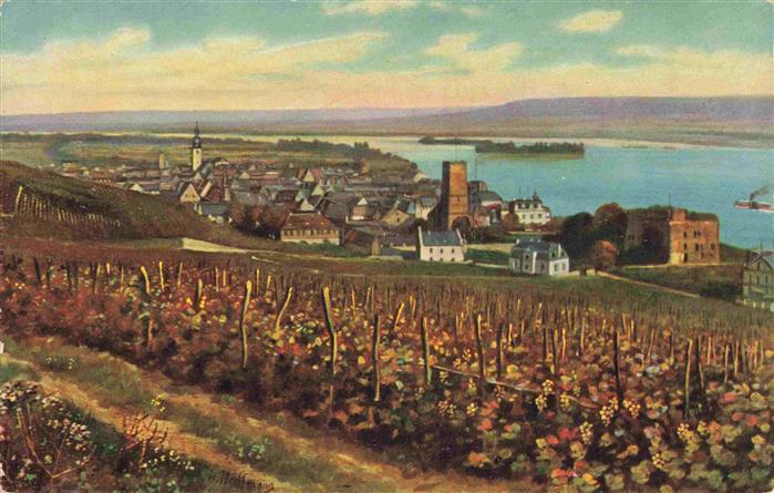 RueDESHEIM am Rhein Panorama