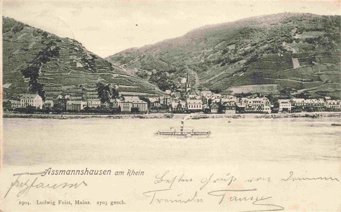 AssMANNSHAUSEN Rhein Panorama