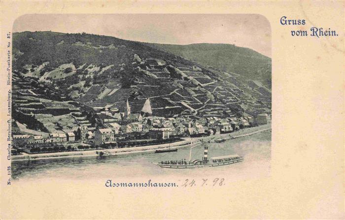 AssMANNSHAUSEN Rhein Panorama
