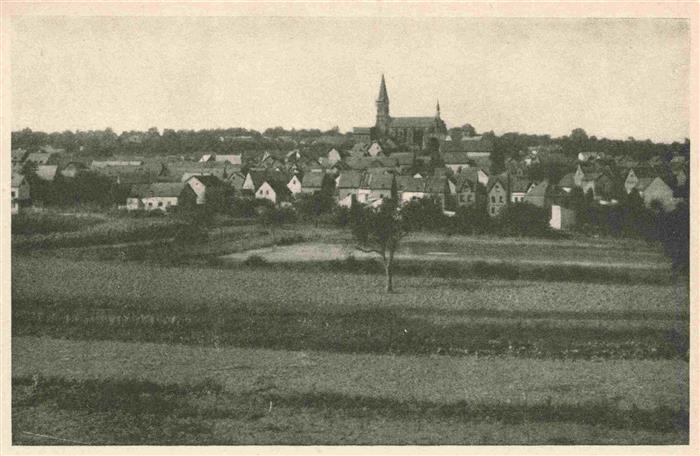 Ruebenach Koblenz Panorama