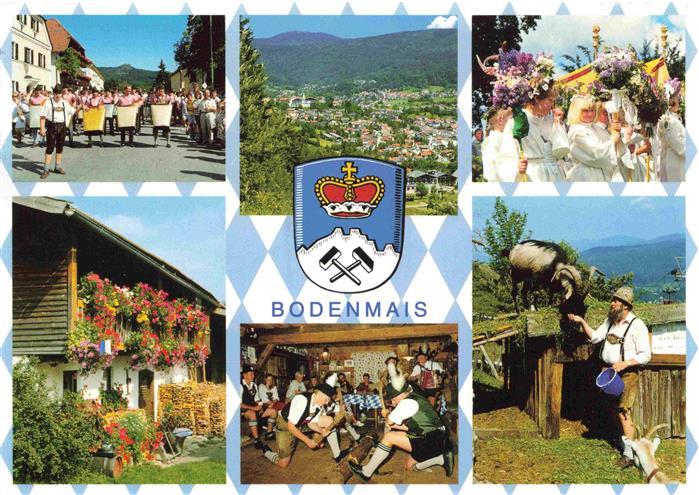 Bodenmais Regen Bayern Festzug Panorama Holzhacker Steinbock