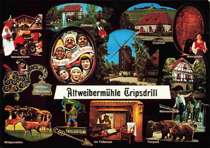 Tripsdrill Cleebronn Altweibermuehle Erlebnispark Details