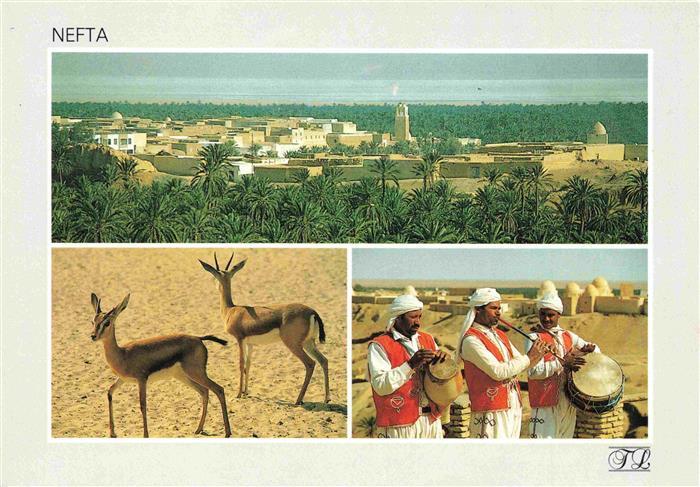 Nefta Tunesie Panorama Springboecke Musiker