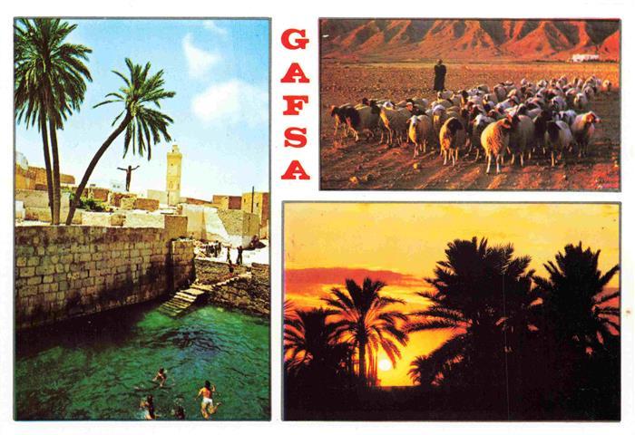 Gafsa Tunesie Bad Schafherde Palmen
