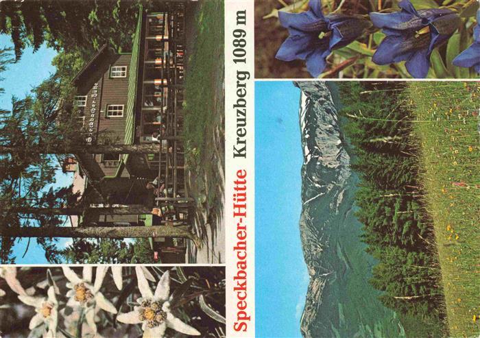Breitenstein Semmering Niederoesterreich AT Speckbauches Huette Panorama Alpenfl
