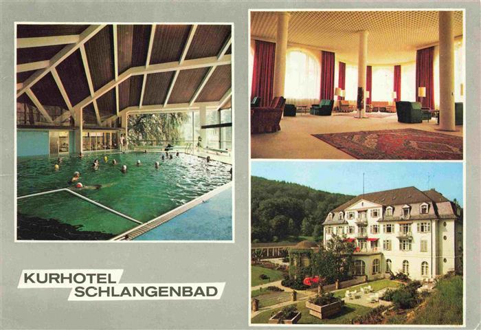 Schlangenbad Taunus Staat Kurhotel Hallenbad Foyer Park
