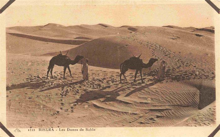 Biskra Algerie Les Dunes de Sable