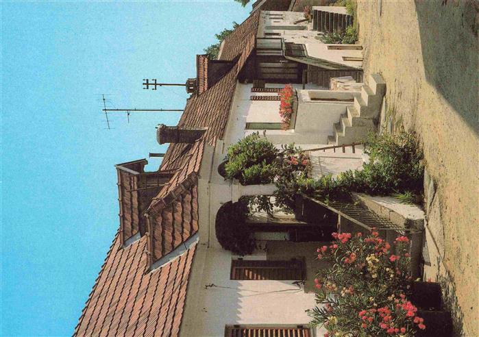Moerbisch See Burgenland AT Motiv