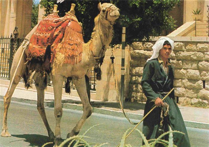 Jerusalem Yerushalayim Israel Old City Street Scene