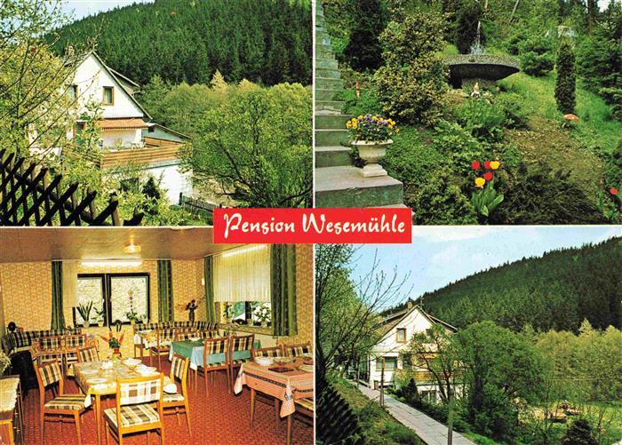 Frankenau Hessen Pension Wesemuehle Gastraum Park