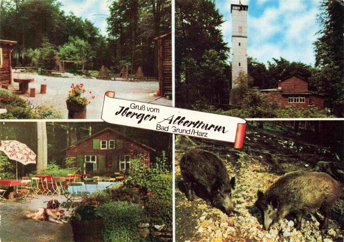 Bad Grund Iberger Albertturm Park Restaurant Wildschweine