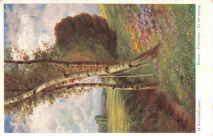 Ruedisuehli M. Kuenstlerkarte Birken