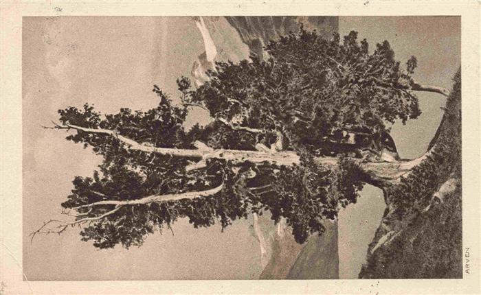 Verlag Kuenzli Zuerich Nr. Arven