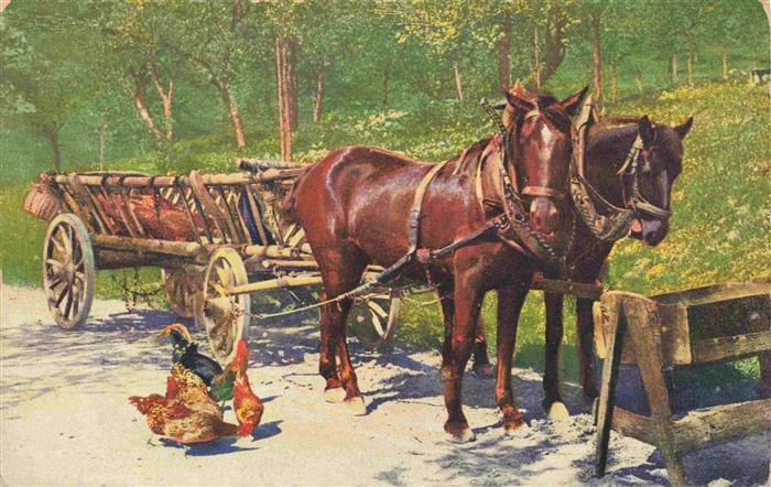 Landwirtschaft Pferde Wagen Huenner