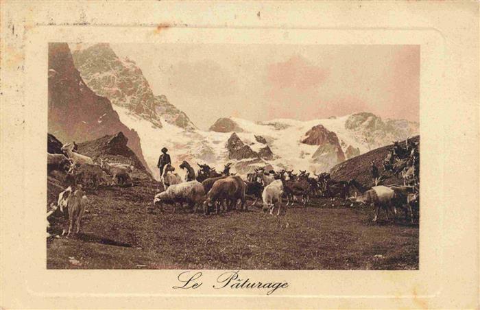 Landwirtschaft Le Palurage Schaffe Berge