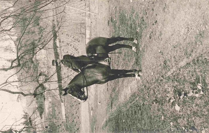 Militaria Schweiz Kavallerie