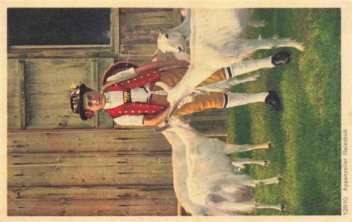 Ziege Goat Chevre-- Appenzeller Gaissbub