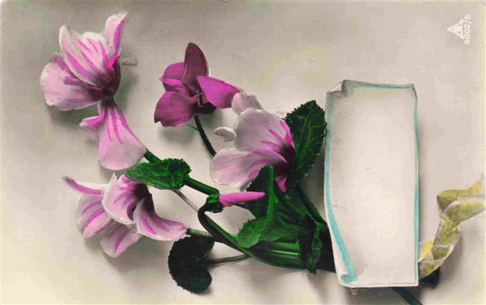 Foto PH Paris Nr. 6002-5 Blümen