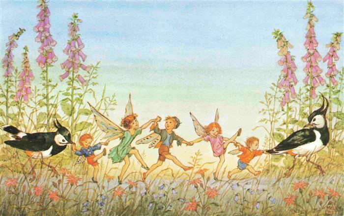 Elfen Elves Elfes Elfos Elfi Maerchen Sagen Fairy Tale Conte Twilight Dance  Vog