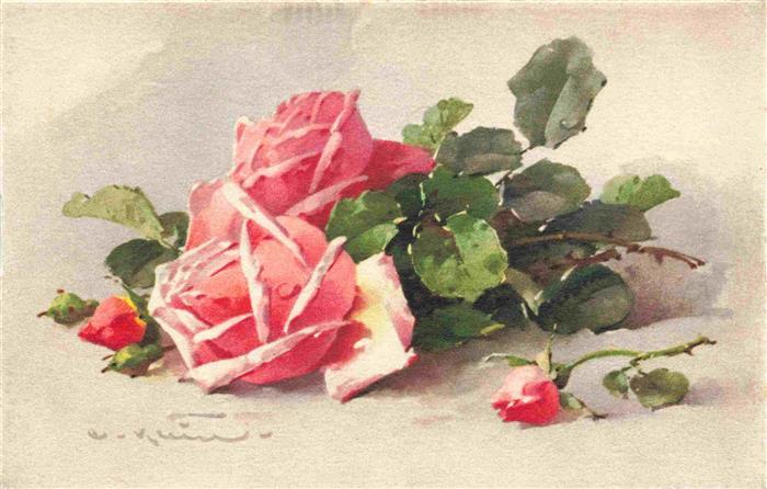 Klein Catharina Kuenstlerlitho Rosen Rosa
