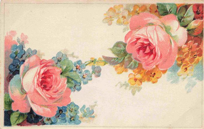 Rosen Roses Rosas-- Rosa Litho