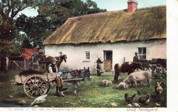 Landwirtschaft Irish Farmyard Schweine Huener Essel