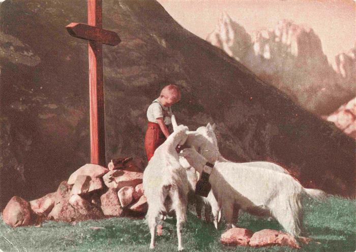 Ziege Goat Chevre-- Selig sind die Bemuetigen Lausanne Basel Kind Kreuz