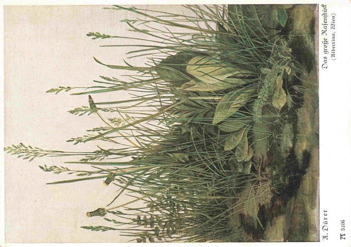 Duerer Albrecht Kuenstlerkarte Nr. 3106 Das grosse Rafenstueck