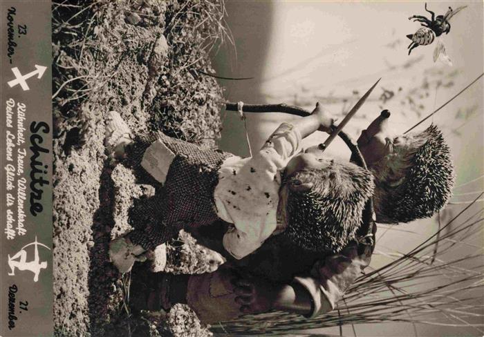 Mecki Nr. 512 Hoer Zu Sternzeichen Suetze Igel Biene