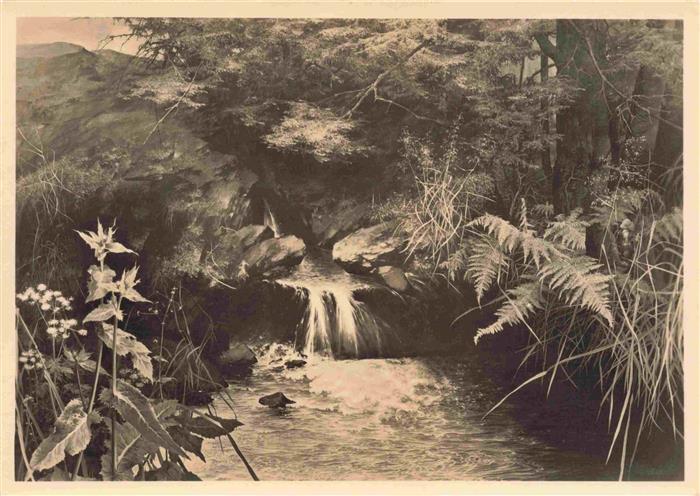 Verlag HDK Haus der Deutschen Kunst Nr. 297 Muenchen Willy Kriegel Die Quelle