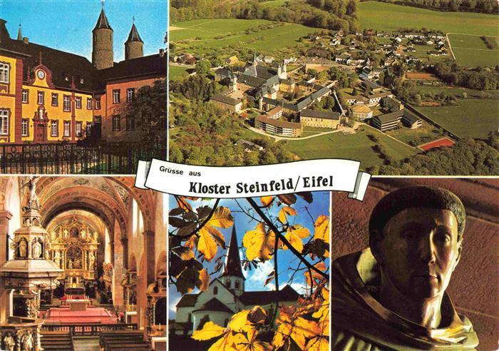 Kloster Steinfeld Pfalz Kloster Fliegeraufnahme Kirche Inneres
