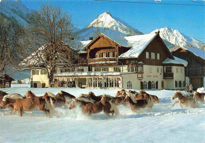 Pinswang Reutte Tirol AT Haflingerhof zum Schluxen