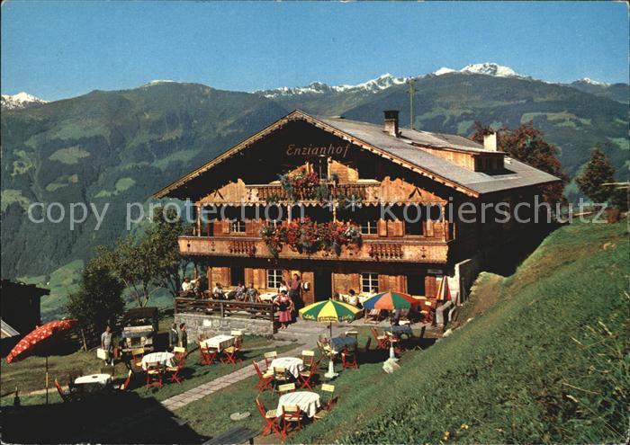 Zell Ziller Tirol Alpengasthof Enzianhof Alpenpanorama