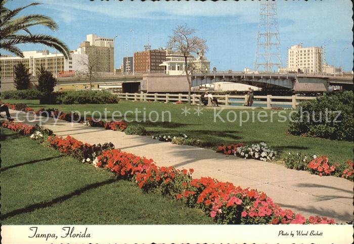 Tampa Florida Skyline Park