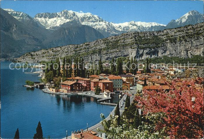 Torbole Lago di Garda Panorama Primavera Fruehling am Gardasee Alpen