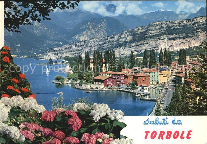 Torbole Lago di Garda Panorama Gardasee Alpen Blumen