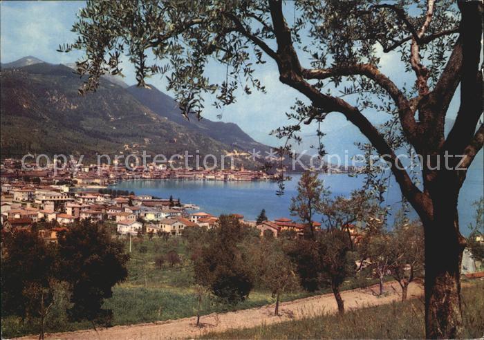 Salo Lago di Garda Panorama Gardasee