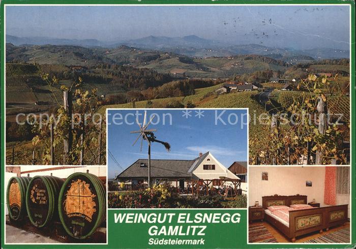 Gamlitz Weingut Elsnegg
