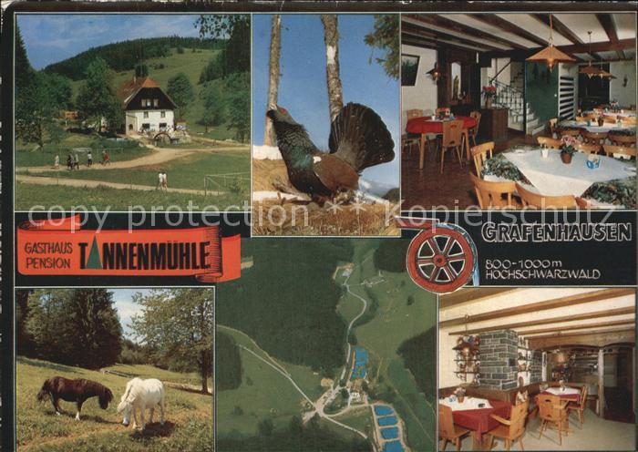 Grafenhausen Schwarzwald Gasthaus Pension Tannenmuehle