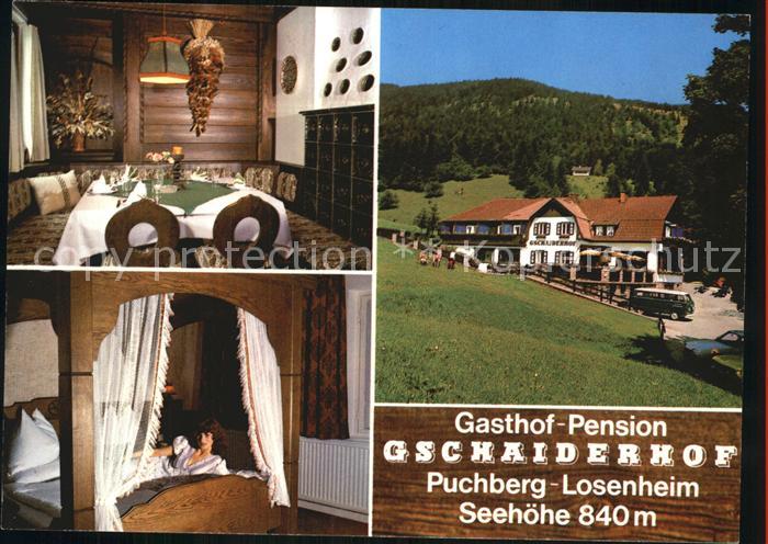 Puchberg Schneeberg Losenheim Gasthaus Pension Gschaiderhof