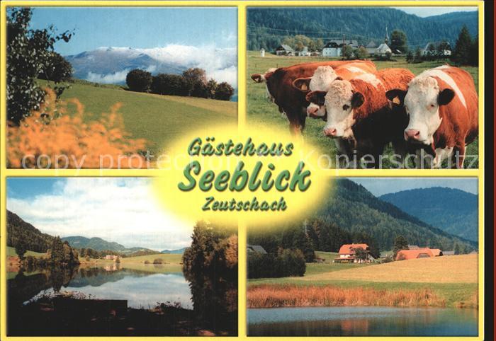 Zeutschach Gaestehaus Seeblick