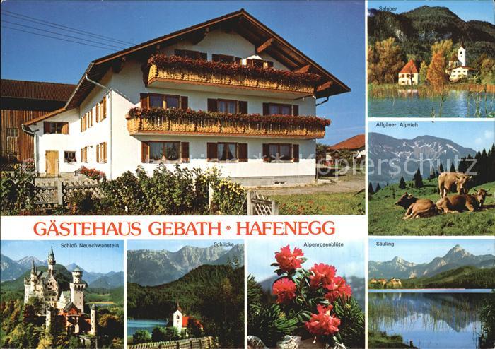 Hopferau Gaestehaus Gebath Hafenegg Schloss Neuschwanstein Allgaeuer Alpvieh Sch