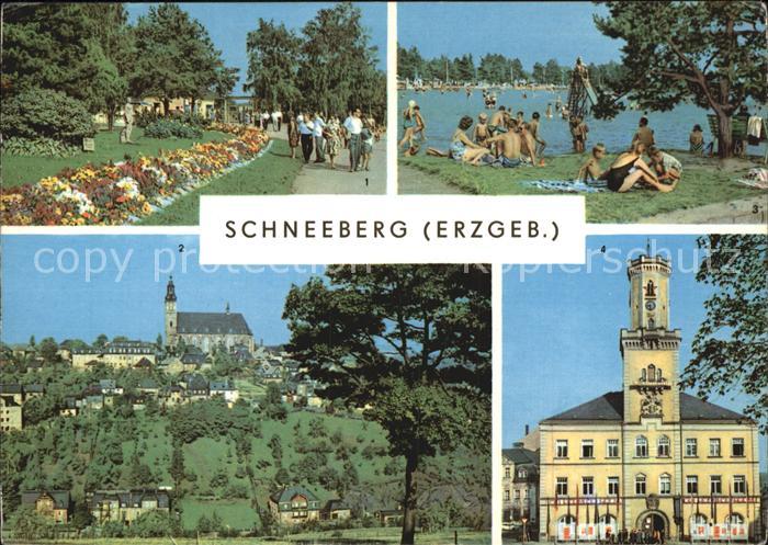 Schneeberg Erzgebirge Promenade Filzteich Kirche Rathaus