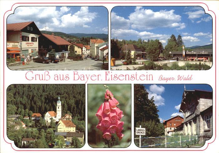 Bayerisch Eisenstein Teilansichten Luftkurort Bayerischer Wald Pflanze Fingerhut
