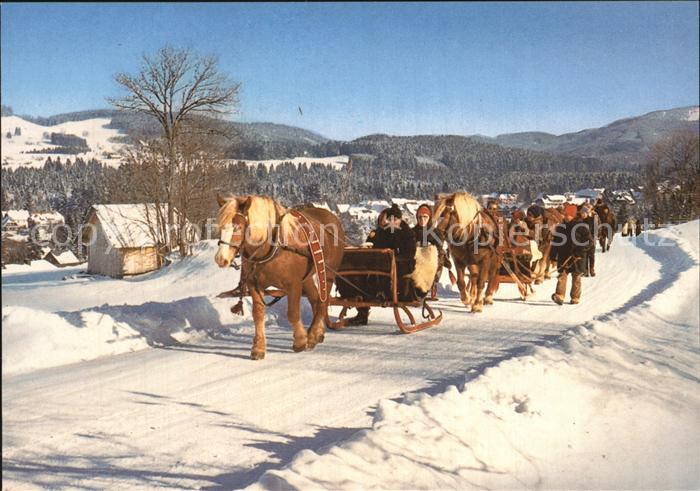 Hinterzarten Breisgau-Hochschwarzwald BW Pferdeschlittenfahrt Heilklimatischer K