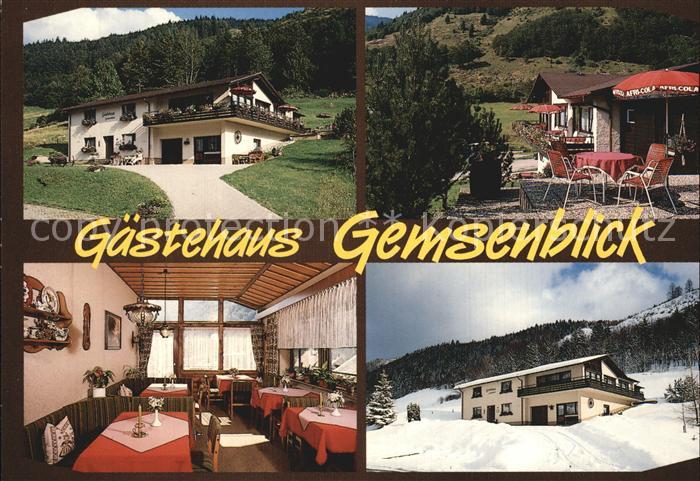 Brandenberg Todtnau Gaestehaus Gemsenblick Schwarzwald