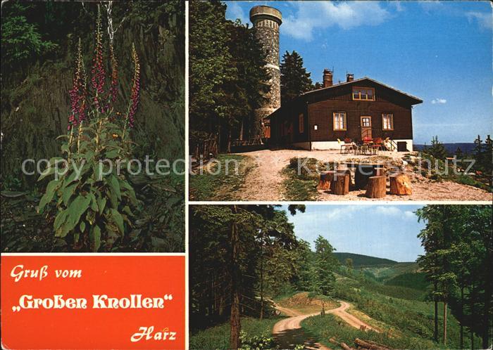 Herzberg Harz Wanderhuette Grosser Knollen Aussichtsturm Landschaft Blumen